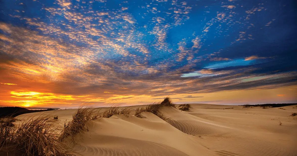 Things To Do Jockey's Ridge State Park